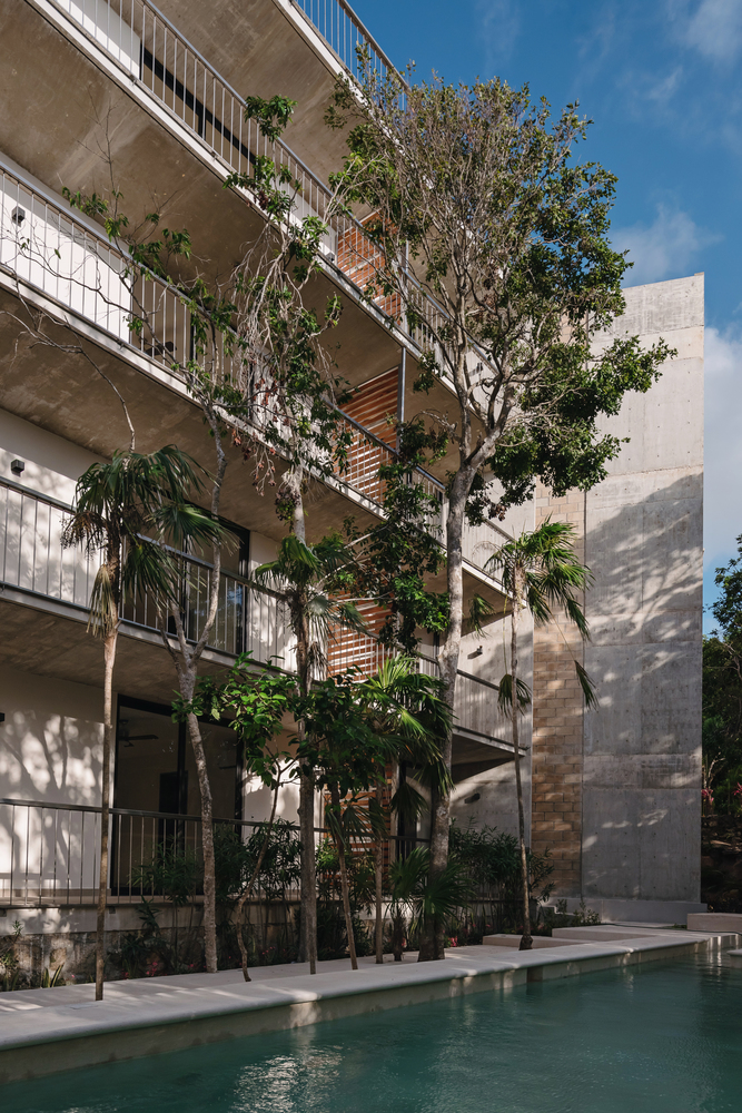 墨西哥 Kokonut 建筑丨Riparia-33