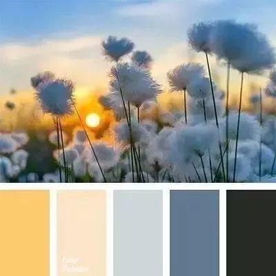 家居色彩搭配的万能公式丨东易日盛-112