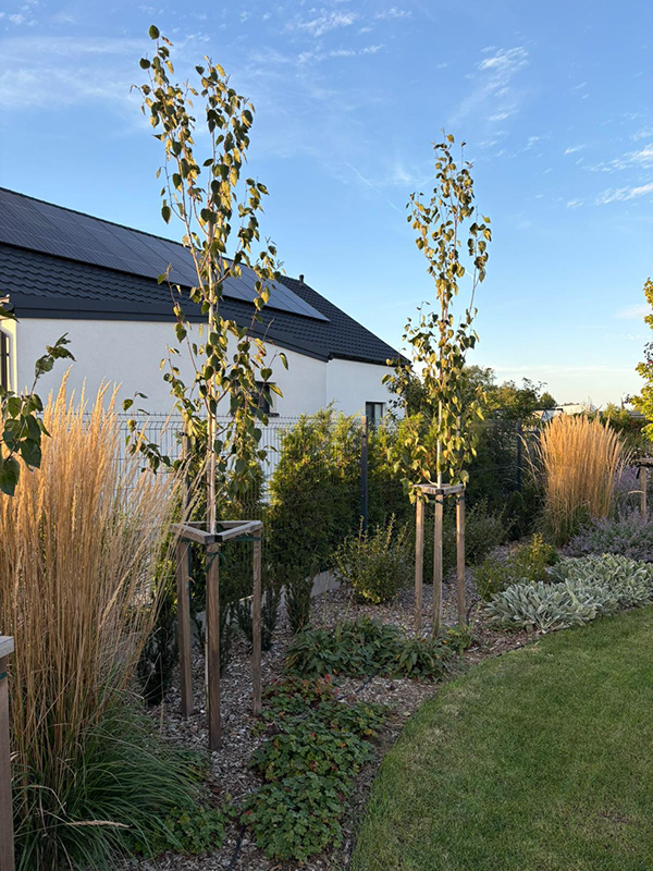 充满轻盈与和谐的花园设计-8