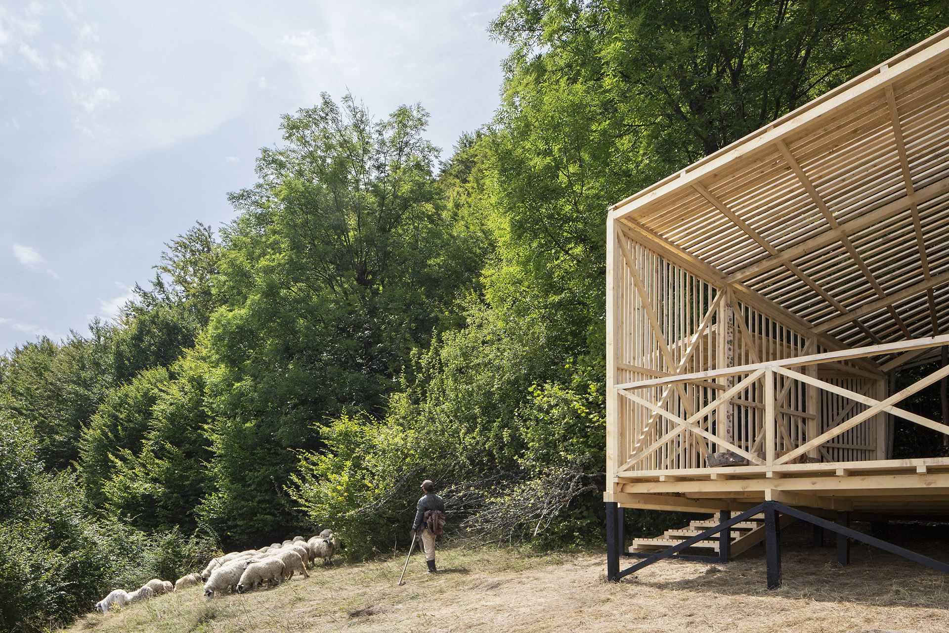罗马尼亚南部塔库山脉的生态旅游观察站-16