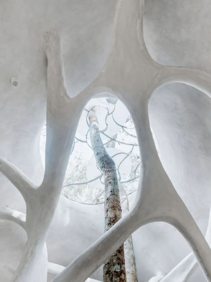 “昆虫翼”办公室 Fab Lab丨墨西哥丨Roth Architecture-14