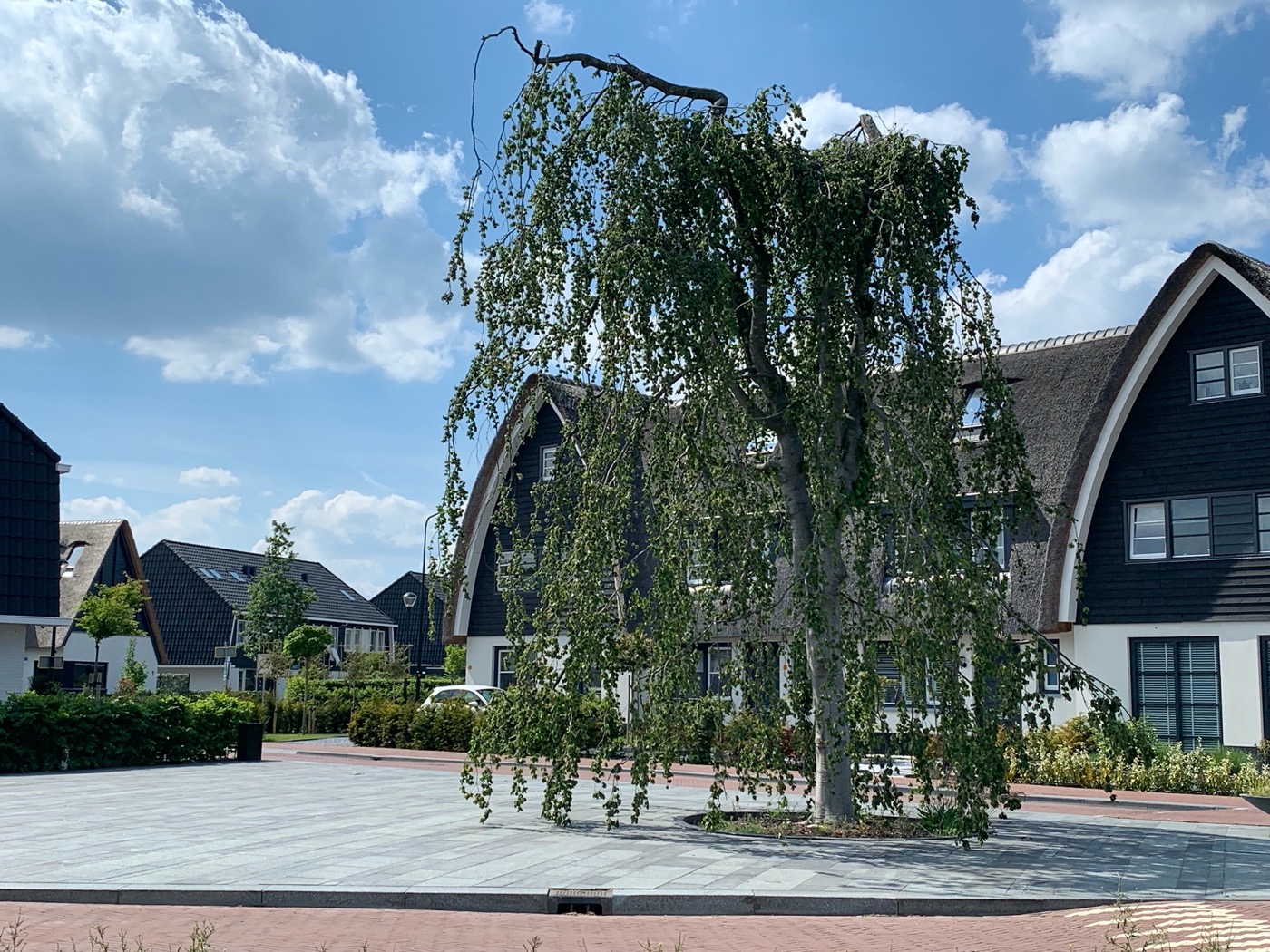 荷兰线性公园丨LOOSvanVLIET-28