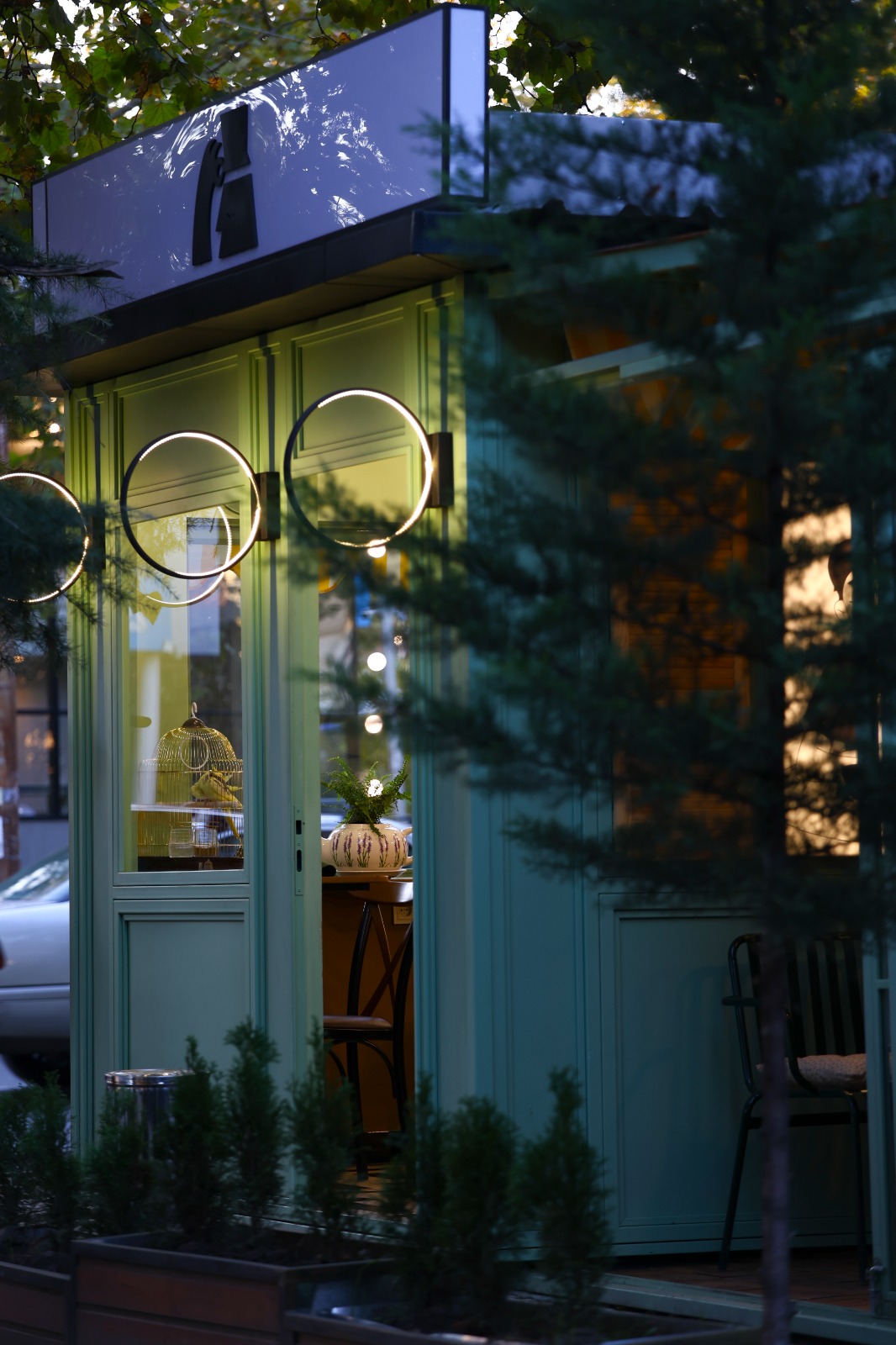 TIRAMISU | REAL PHOTOS-4