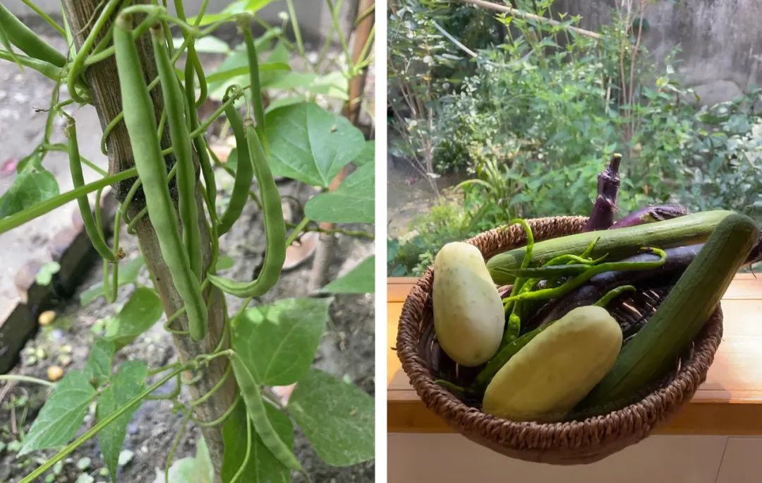 低成本梦幻小院改造丨中国南京丨思文,Ssisy,溯溯-68