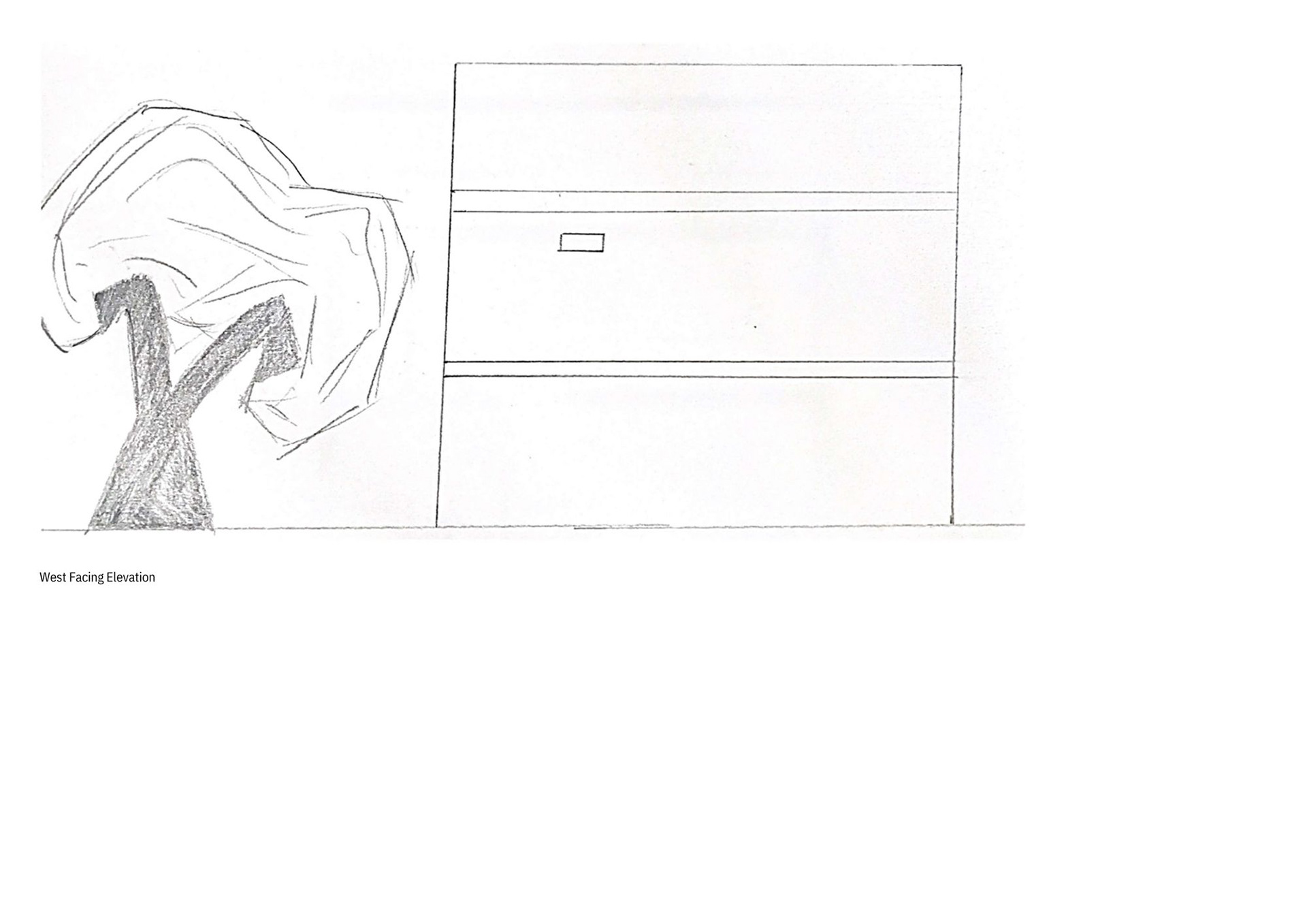 Kaufmann House and House for a pro-22