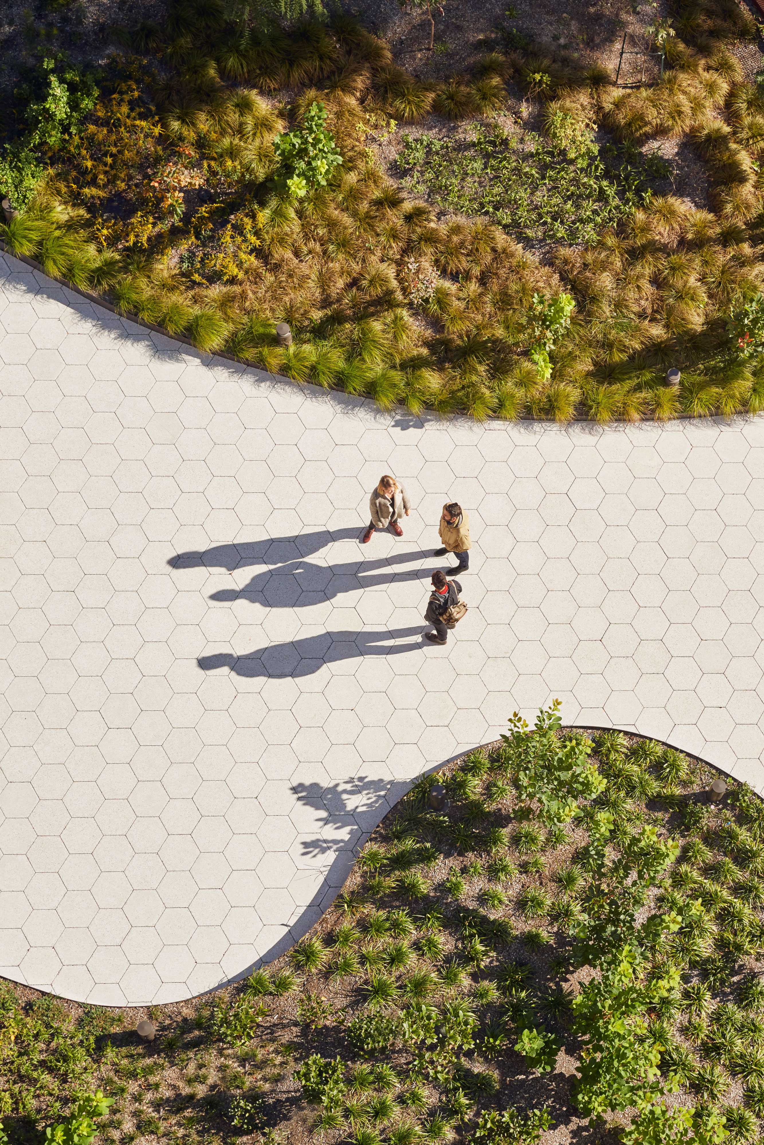 hall of science discovery terrace-5