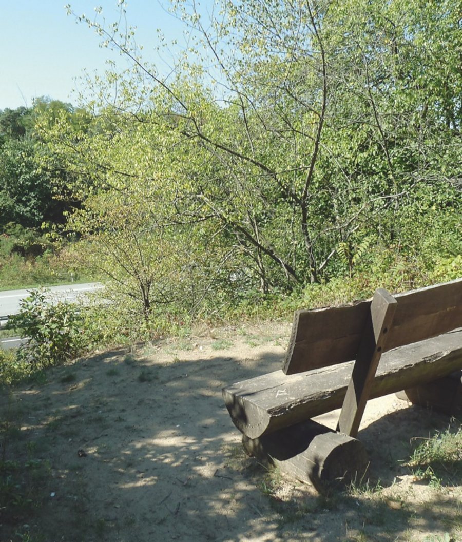 Schepp Allee（舍普林荫道）丨德国达姆施塔特-26