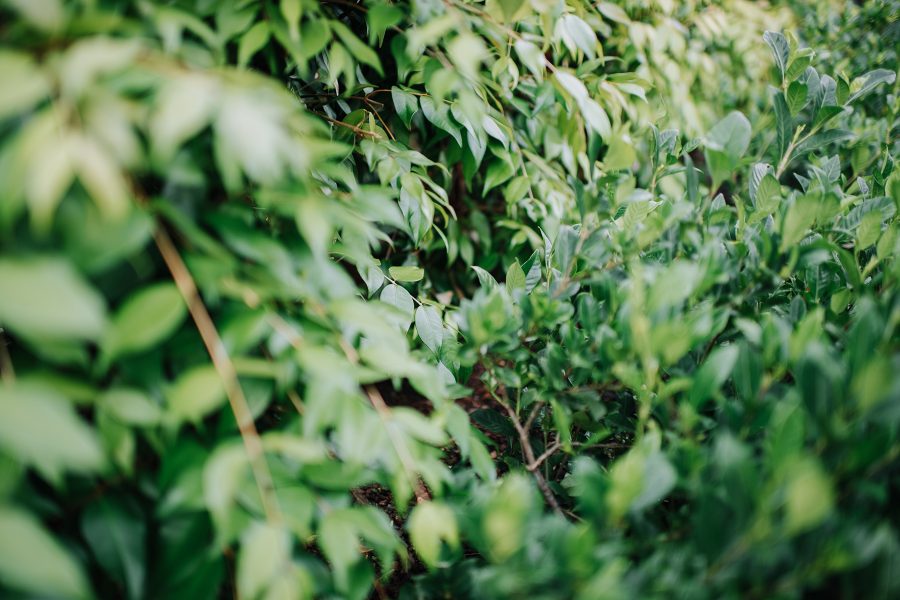 赫斯基森项目  GNK景观设计公司（这里GNK为特定名称，若无更多背景难以更精准翻译，推测一般为专业领域的公司名称，Landscapes可理解为景观设计公司等相关含义） -48