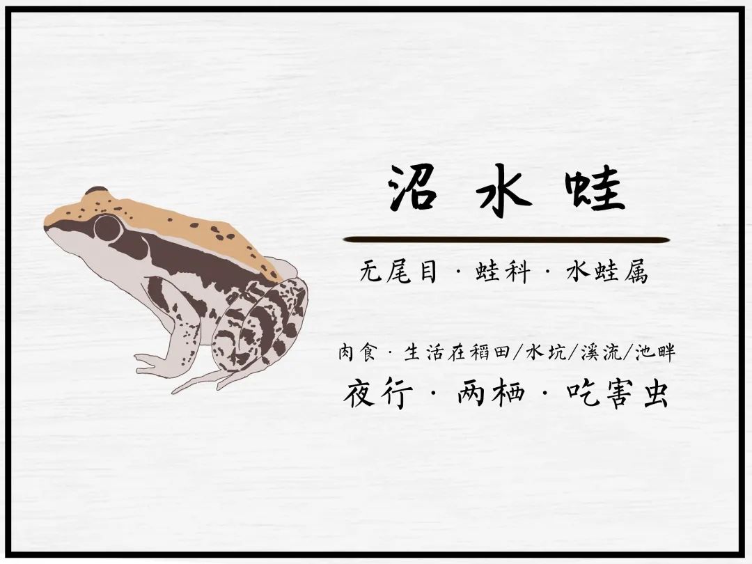 广汽丰田生态园·工业绿色风景线丨普邦设计-89