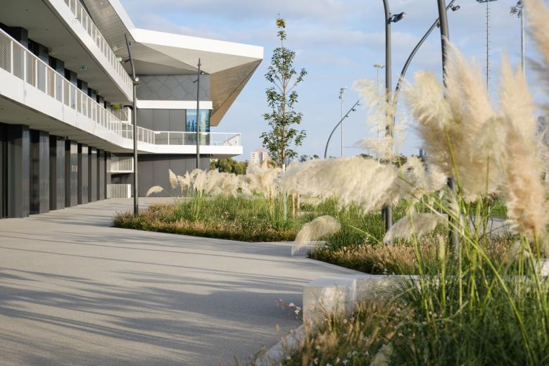 DFB 校园丨德国法兰克福丨GREENBOX Landschaftsarchitekten-6