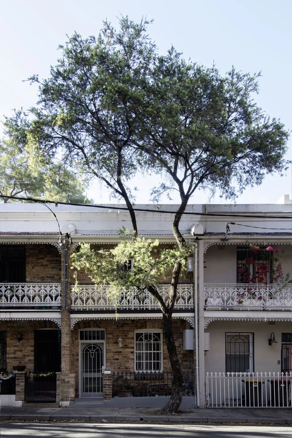 Terrace House Mirage（幻影联排别墅）丨澳大利亚悉尼丨阿尔卡米建筑事务所（Alcami Architecture）-43