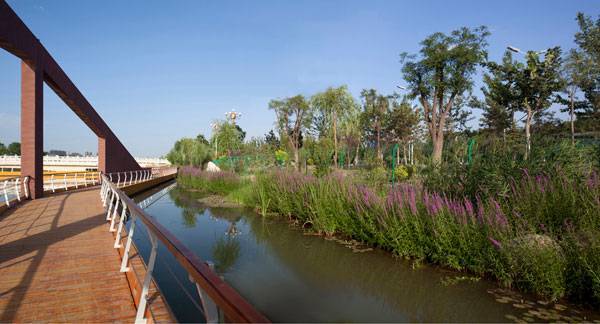 宁夏银川艾依河滨水景观公园丨中国银川丨BLVD International-34