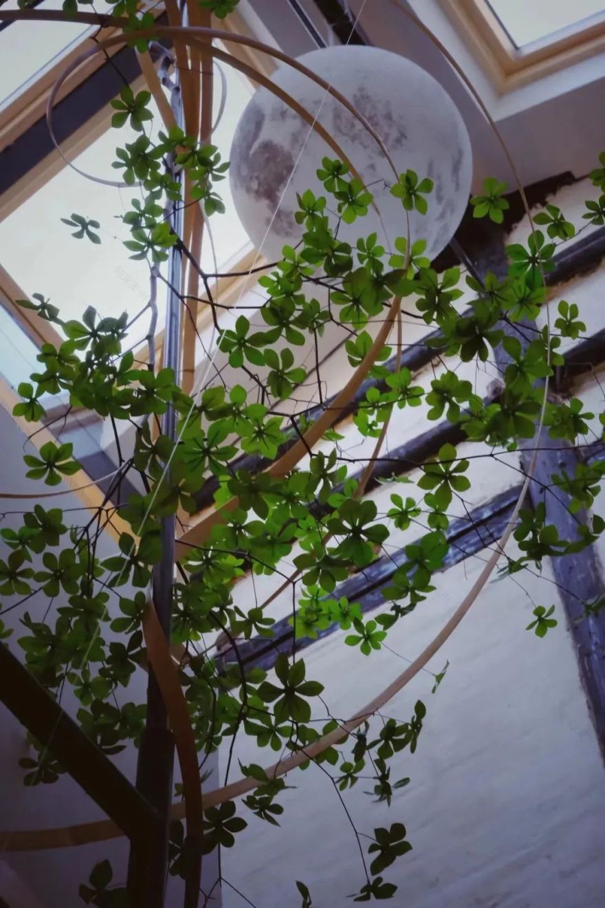 绍兴百年老宅改造丨中国绍兴丨顾忆-42