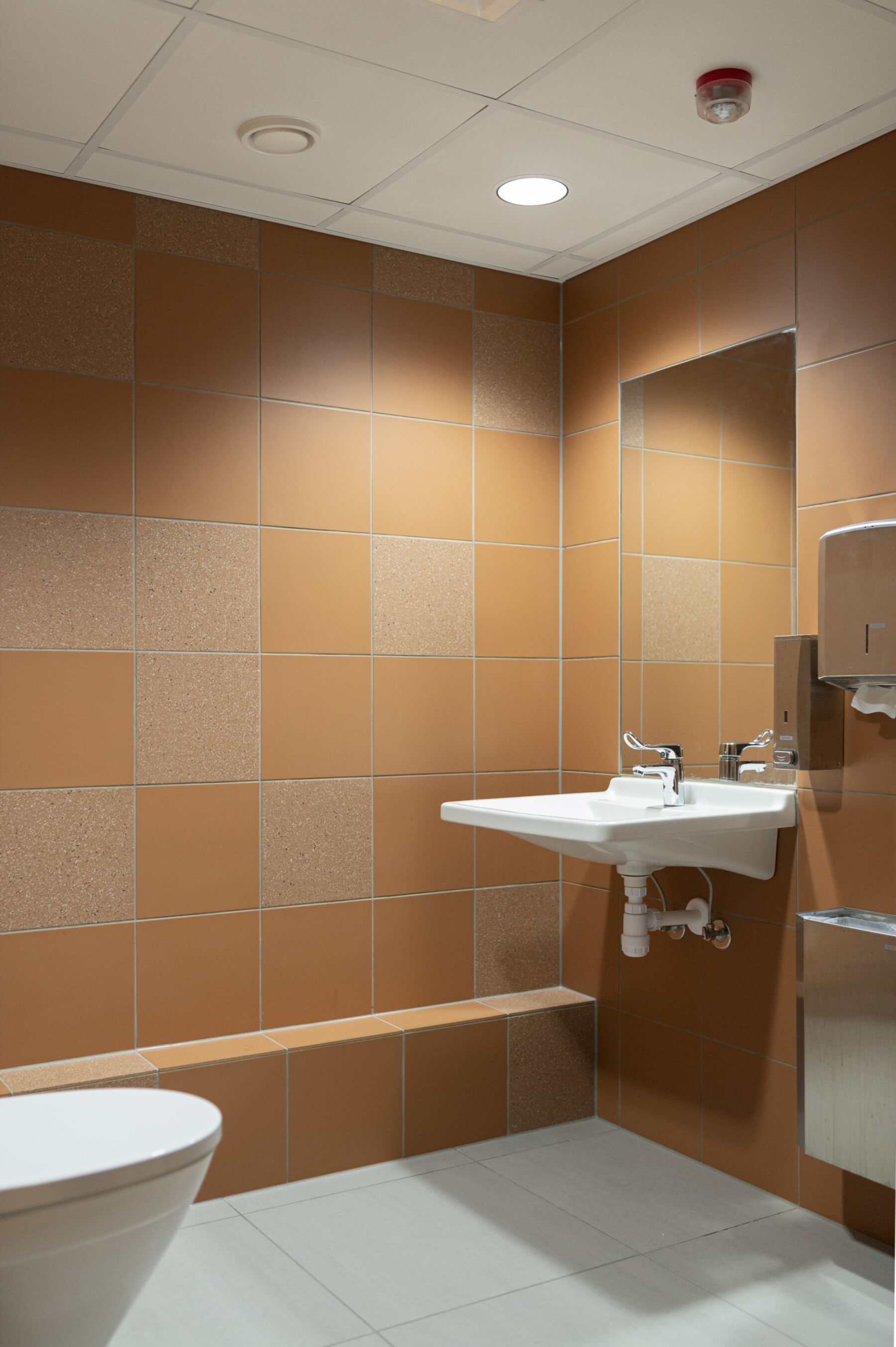 丨挪威丨文本未提及-15