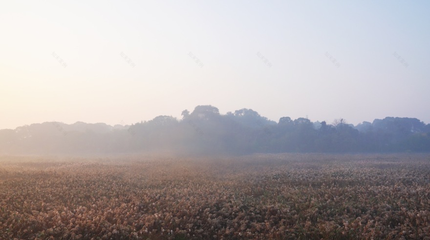疗愈之“山”丨中国岳阳丨杜扬工作室-90