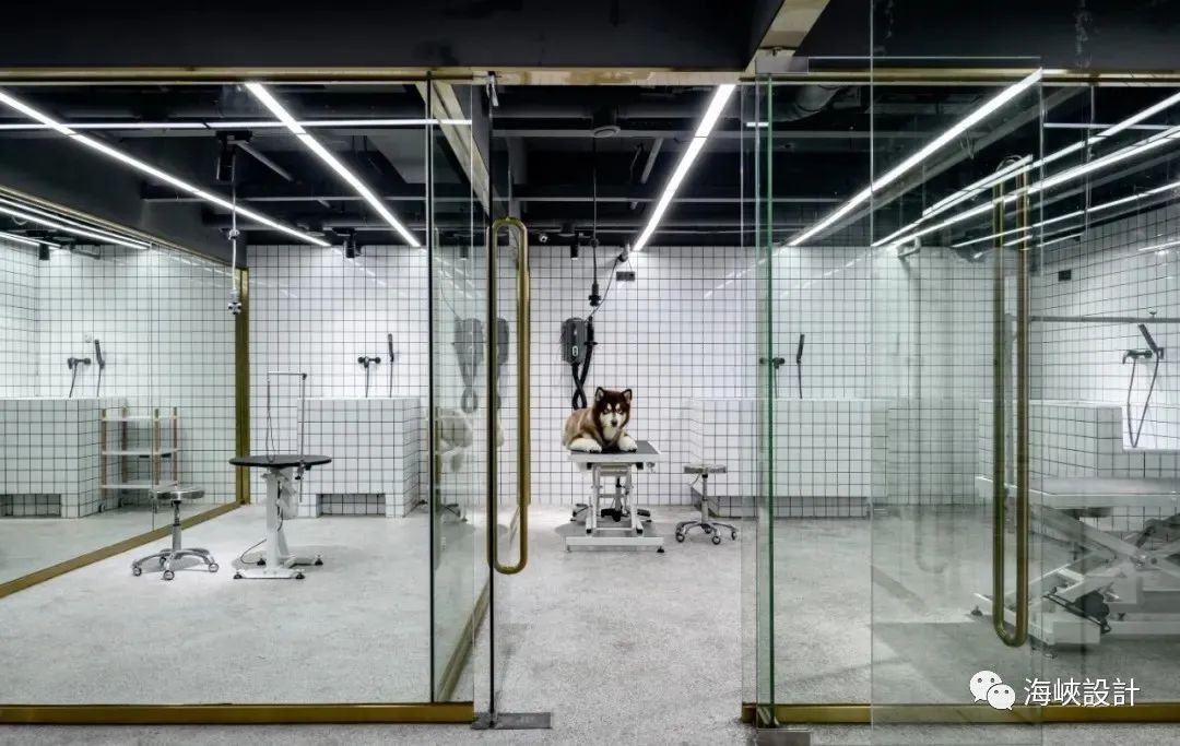 福州卡夫·House 五星級寵物店,設計演繹浪漫與精致-25