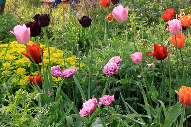 德普莱纳的小菜园丨德国柏林丨Büro Christian Meyer-4