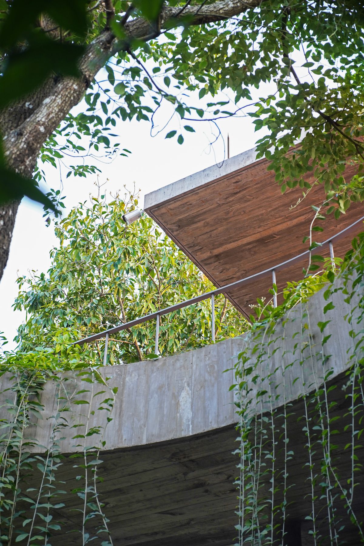 Ba Vì森林中的开放互动生活空间-84