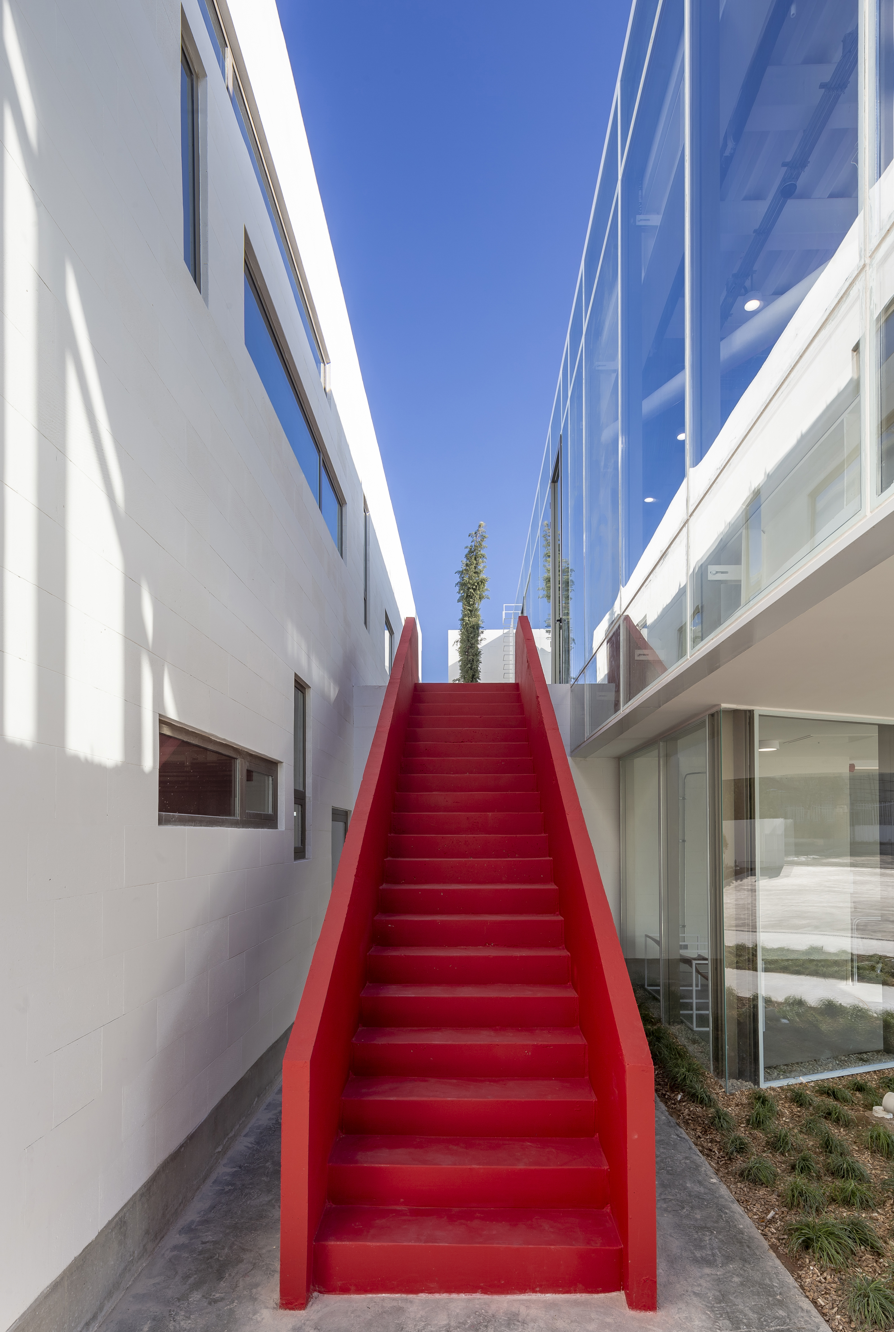 伊朗 Shamim 聚合物工厂丨Davood Boroojeni Office-33