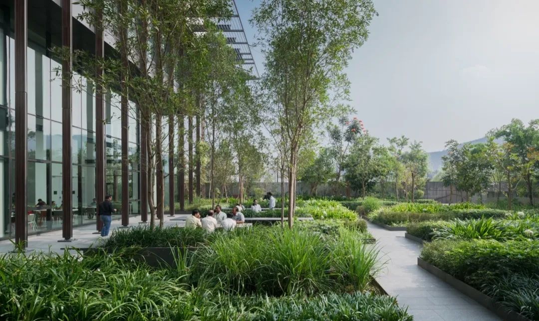 印度 Lupin Research 公园-27