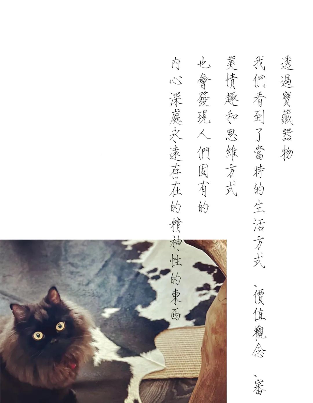 HSU|物咪该丨中国汕头丨HSU汕头市许业功室内设计有限公司-29