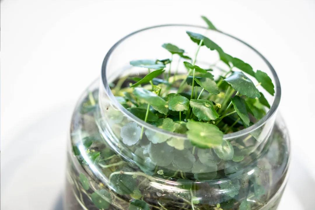 感悟：一段装修的故事-108