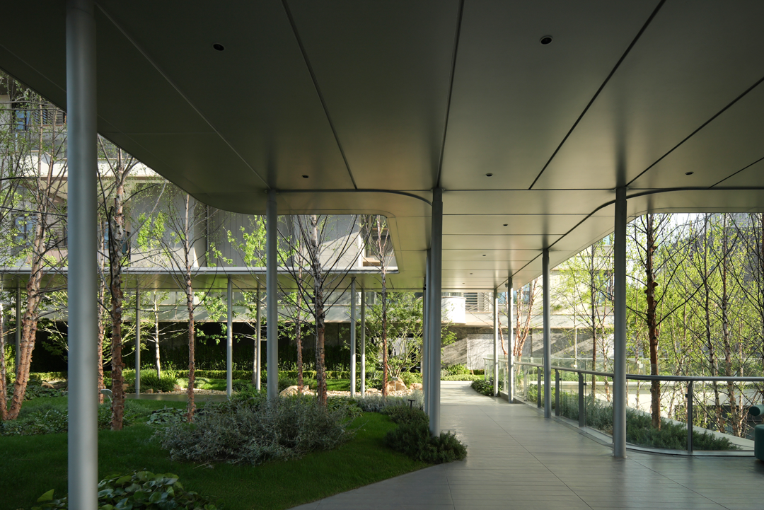 让山林的风，吹向城市|苏州蠡棠森屿-39