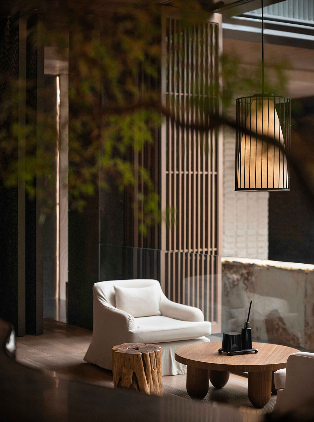 新作 自然之下的无界洄游丨紫香舸-54