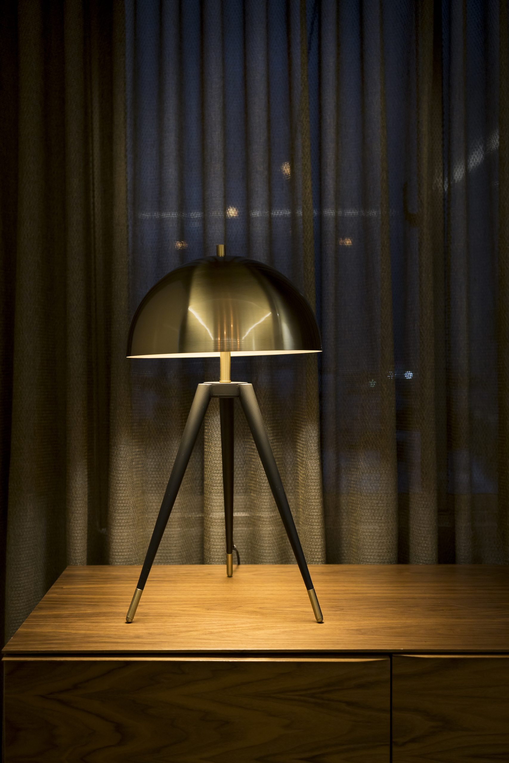 丨Mariela Montas Freundt及其团队SITMOB-19