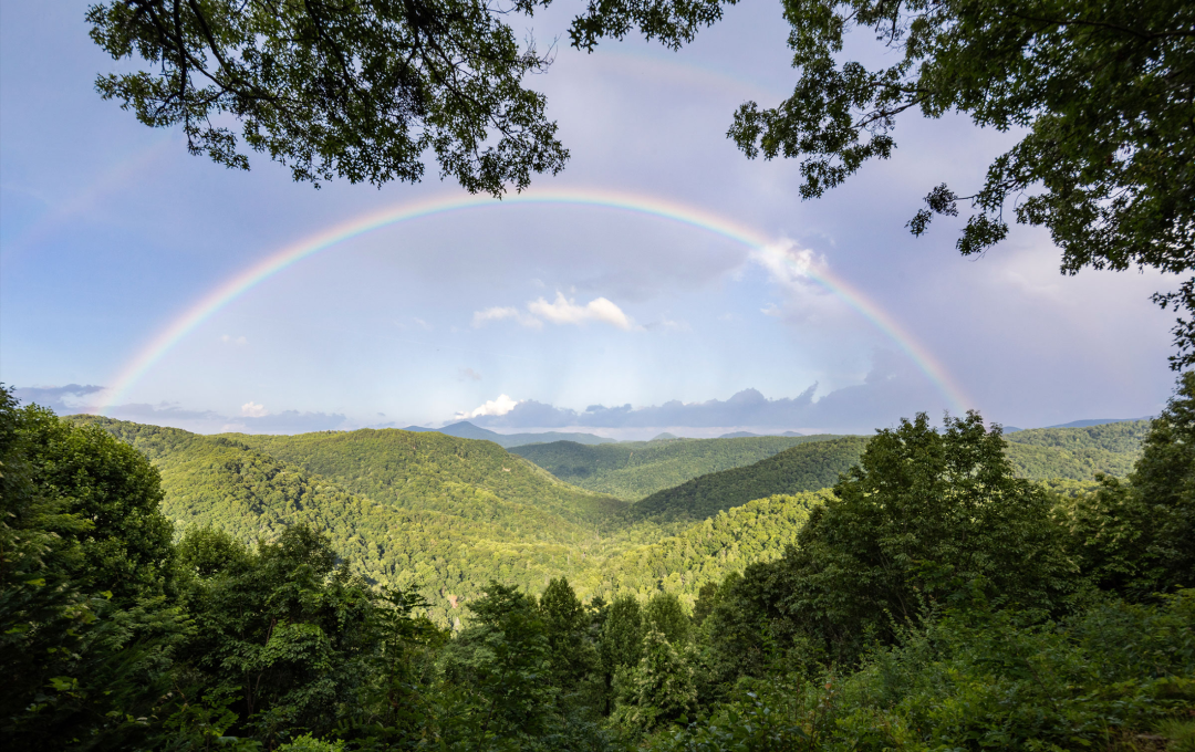 Betsy’s Cabin 私人木制小屋丨美国北卡罗来纳丨Paul Bates Architects-34