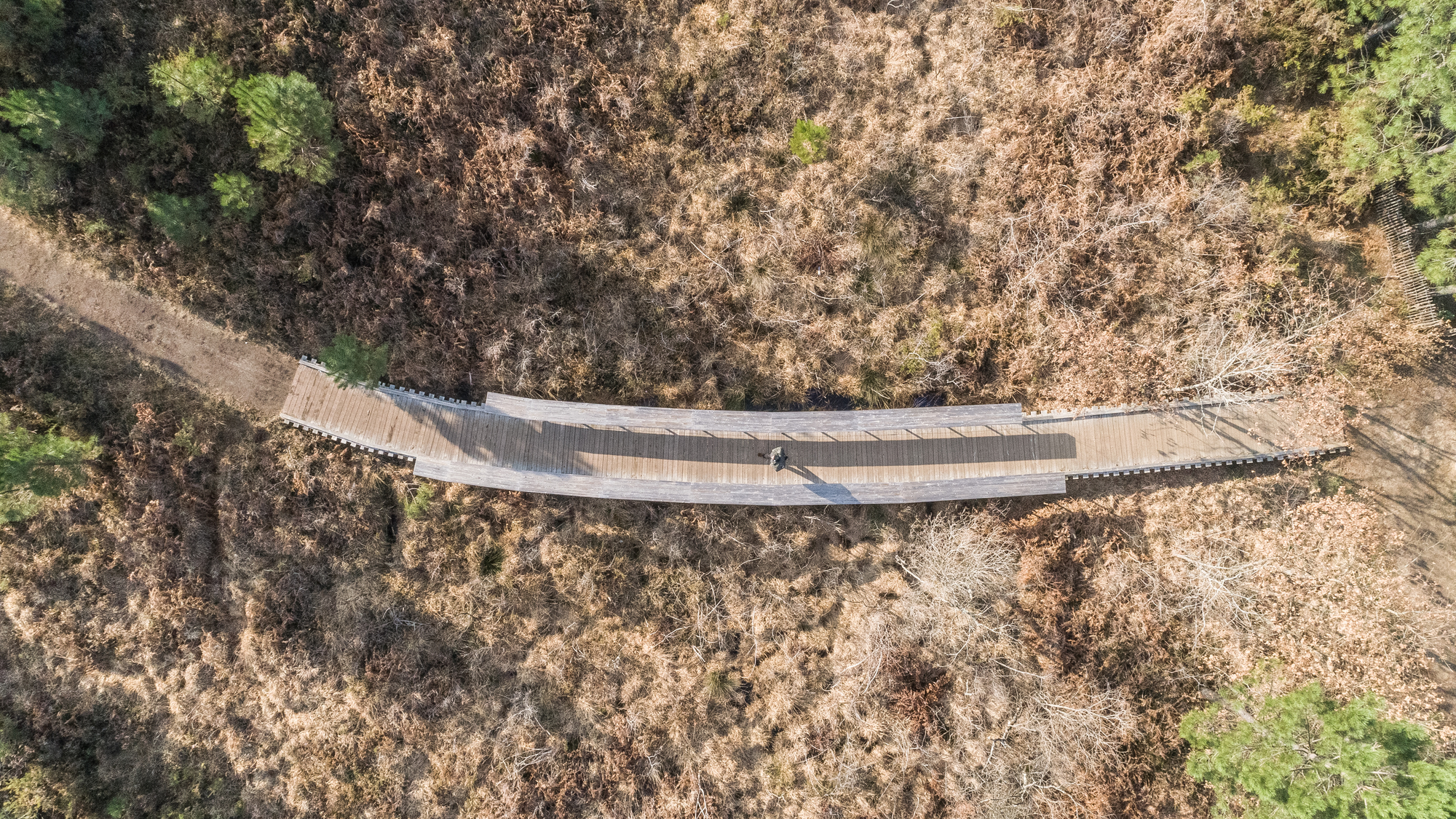 绿意盎然的 Plaine des Sports 体育公园-6