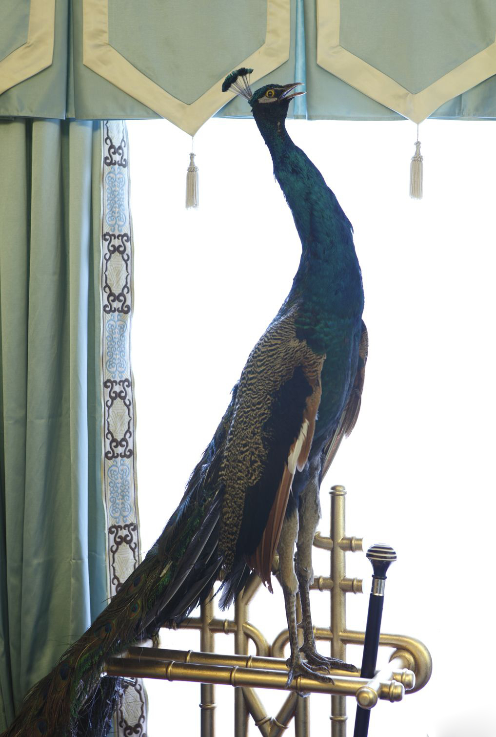 广西桂林彰泰春天6栋样板房 馨思唯软装设计-3