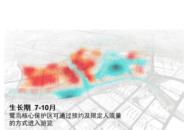 顺德鹭鸟湿地片区景观规划丨中国佛山丨AECOM-71