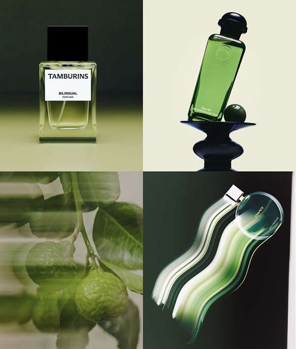 FF 护肤品牌形象-18