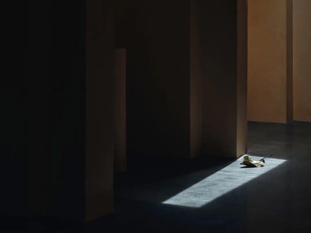 厦门“极乐场”丨中国厦门丨肖磊,杨毓琼,林文珺,王晗-42