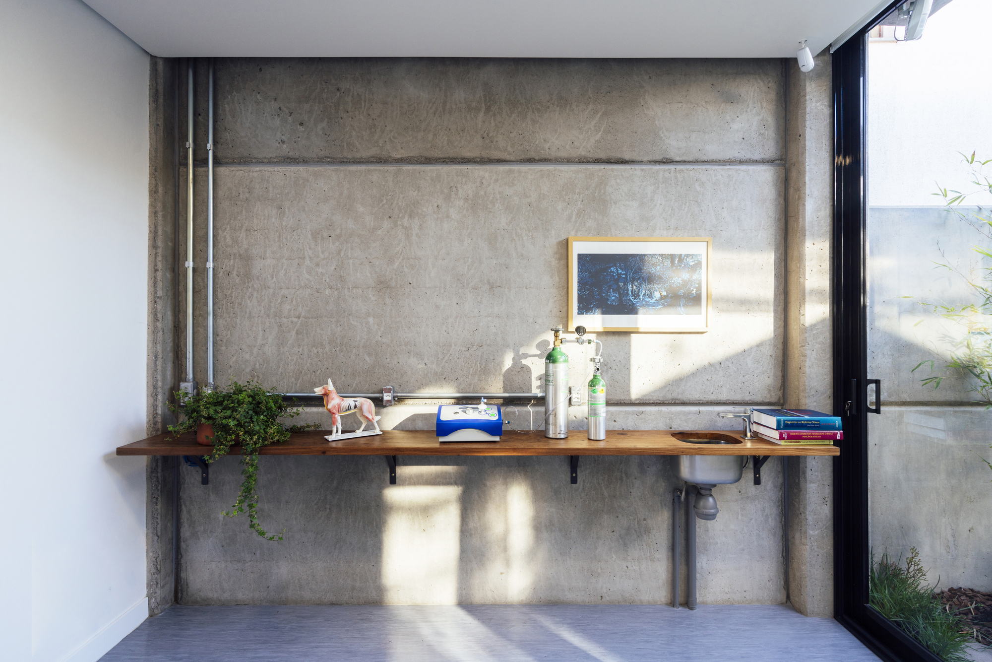 Sentidos Veterinary Clinic / OCRE arquitetura-33