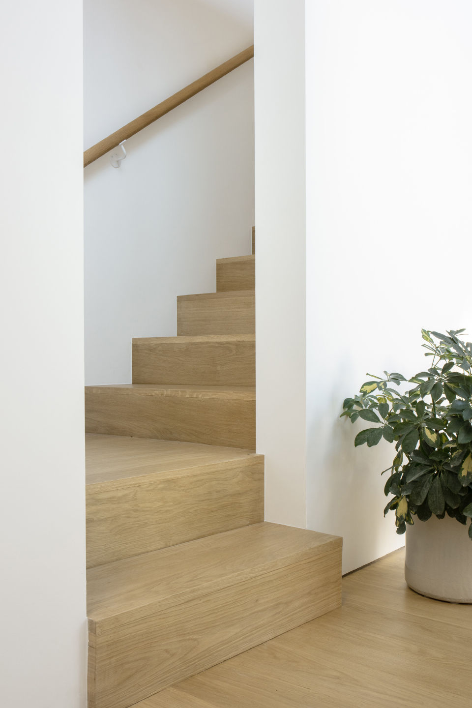 Ardmore 住宅丨美国芝加哥丨Kwong Von Glinow-84