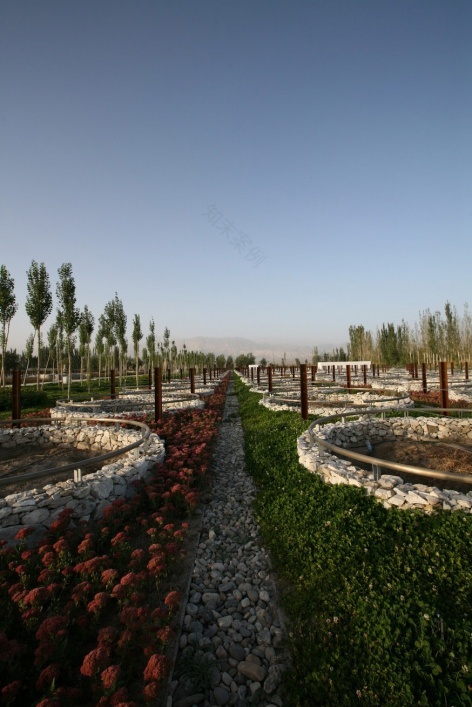 新疆瑞丰葡萄酒庄景观设计-28