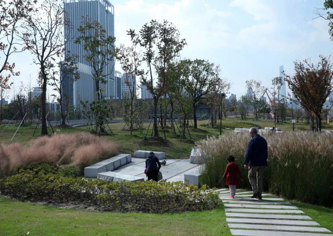 杨浦大桥区域滨江绿地生态项目，打造城市水岸新生活-130