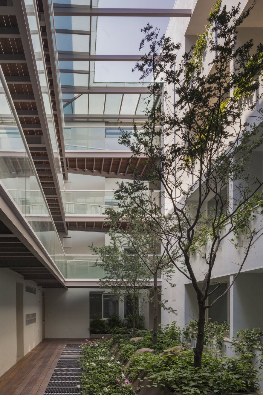 墨西哥城住宅楼丨Vicente Alonso Ibarra-19