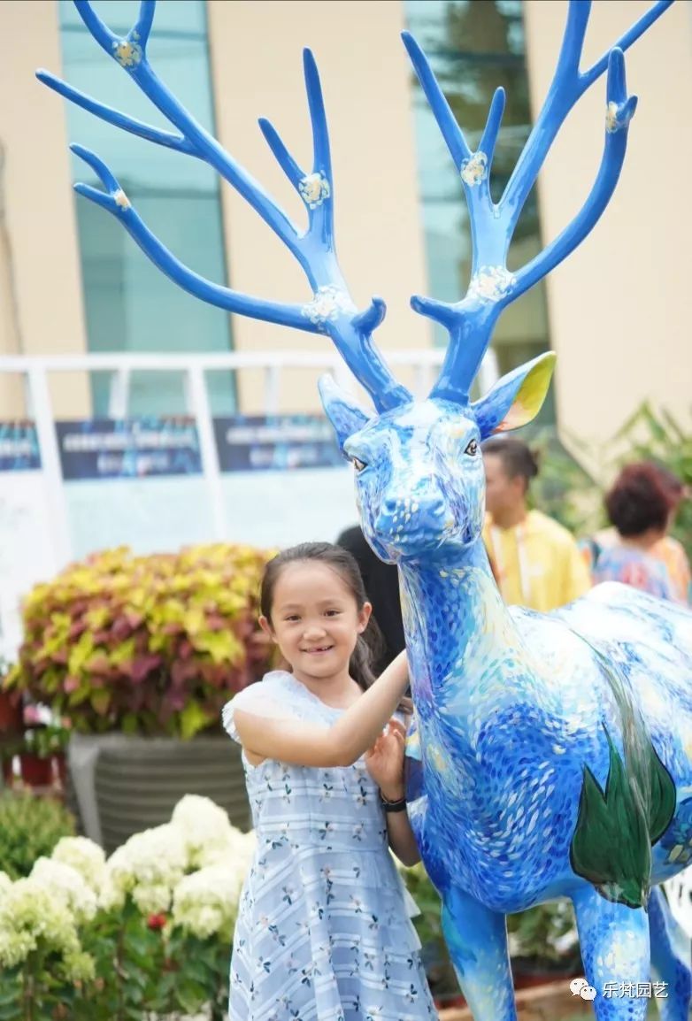 乐梵园艺打造成都花木博览会快闪花园,惊艳全场-60