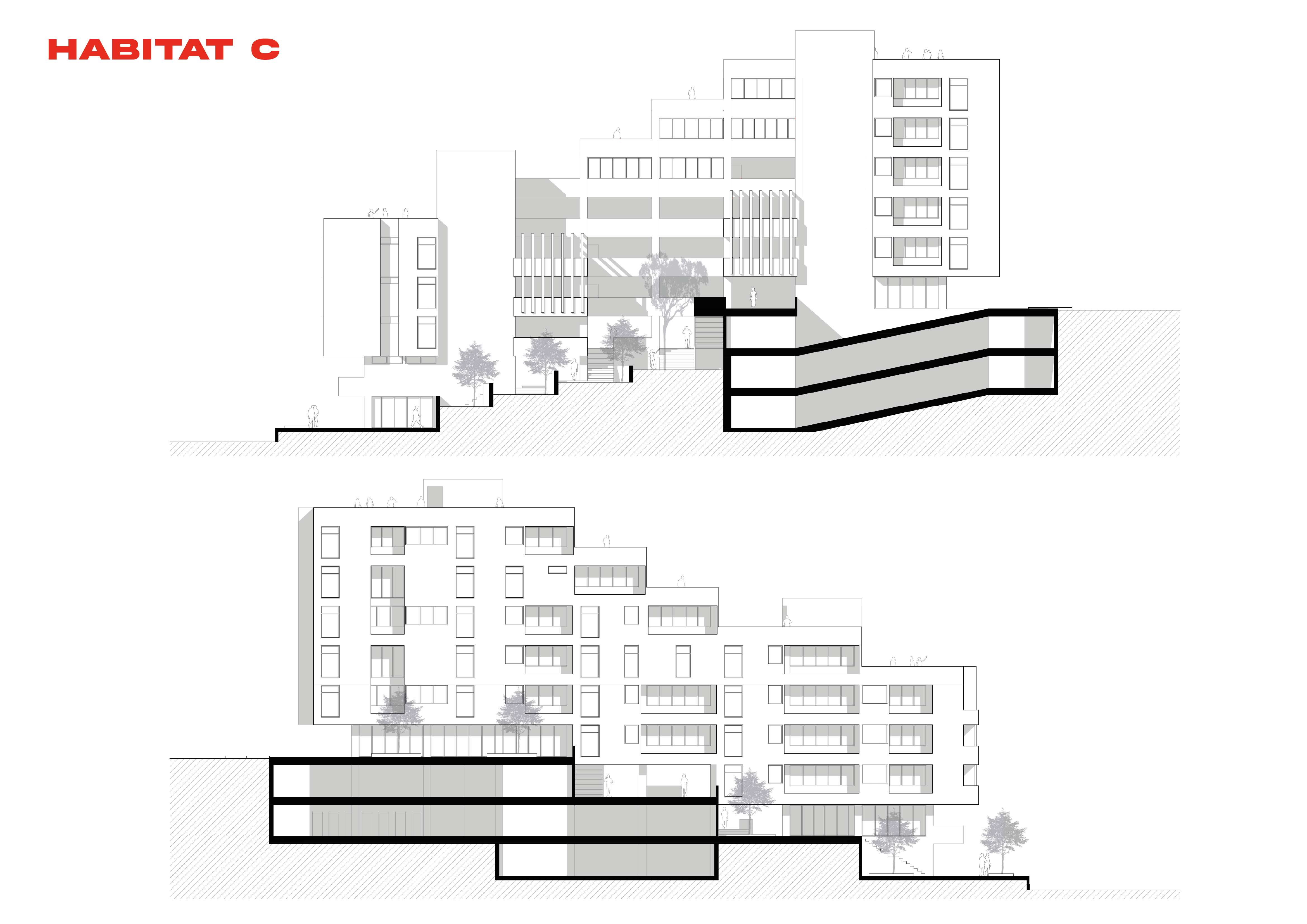 PORTFOLIO DAVID CHEME GARCIA-19