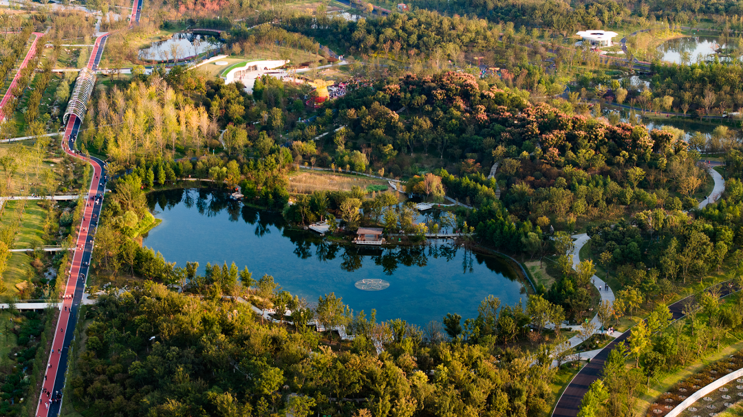 合肥骆岗公园景观设计丨中国合肥丨泛亚景观设计（上海）有限公司-70