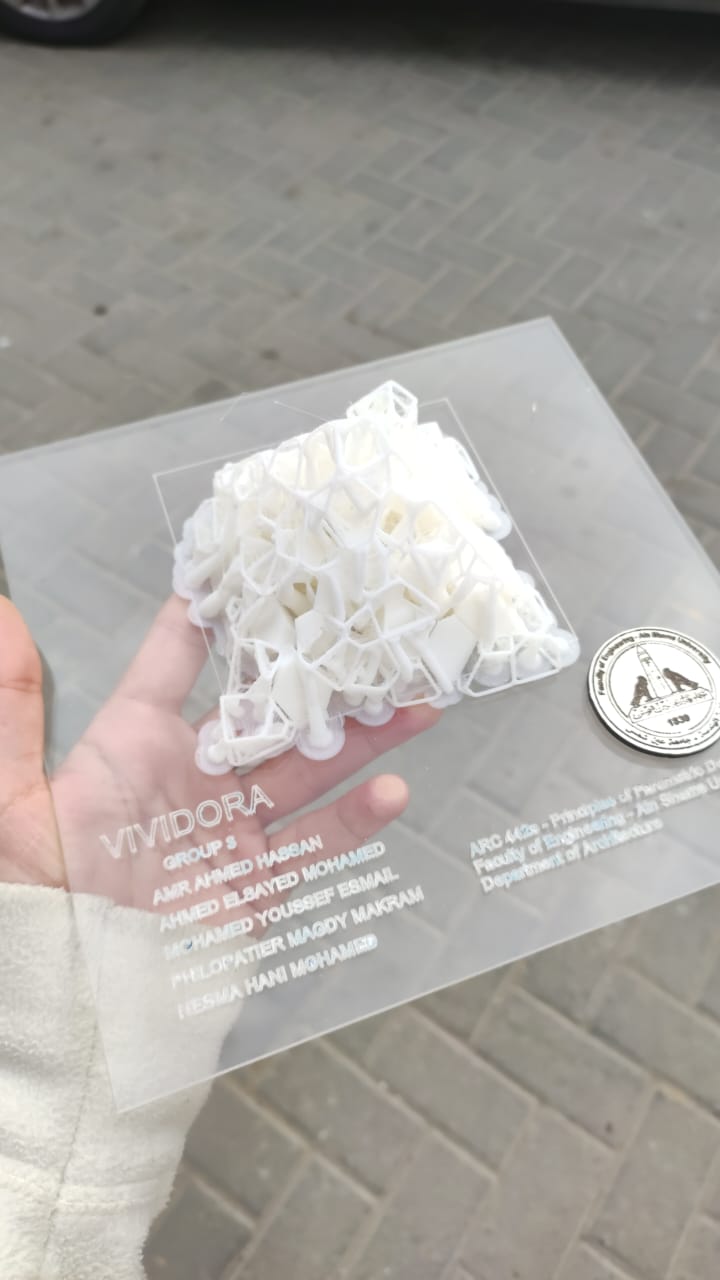 Vivdora | Optimized Parametric Pyramid-42