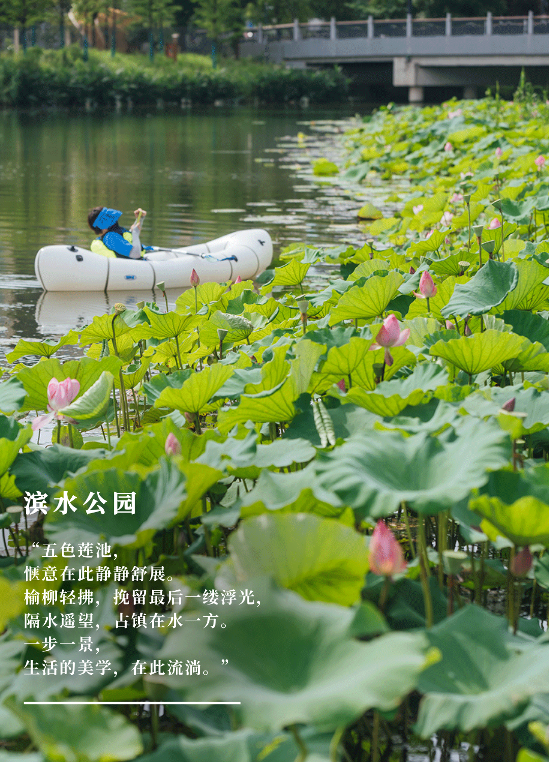 公园里的新天地|上海蟠龙天地荣膺“国家级旅游休闲街区”，华建集团环境院设计助力城市更新-158