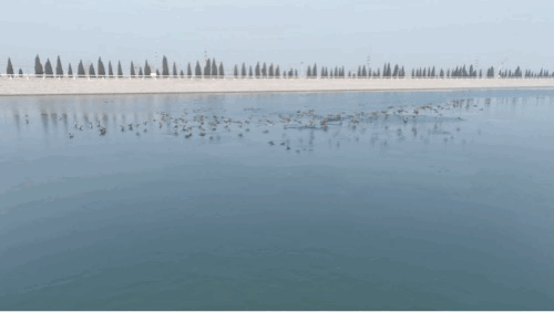 万里黄河第一隧“加长版”通车!-21