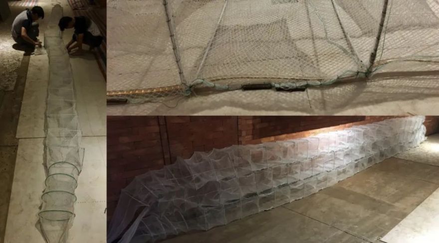 长沙哇鳝 | 室内外共融的美食空间-37