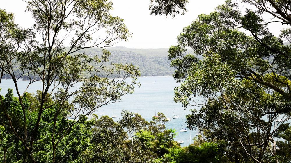 树屋家庭建造师Louella Boitel·Gill-15