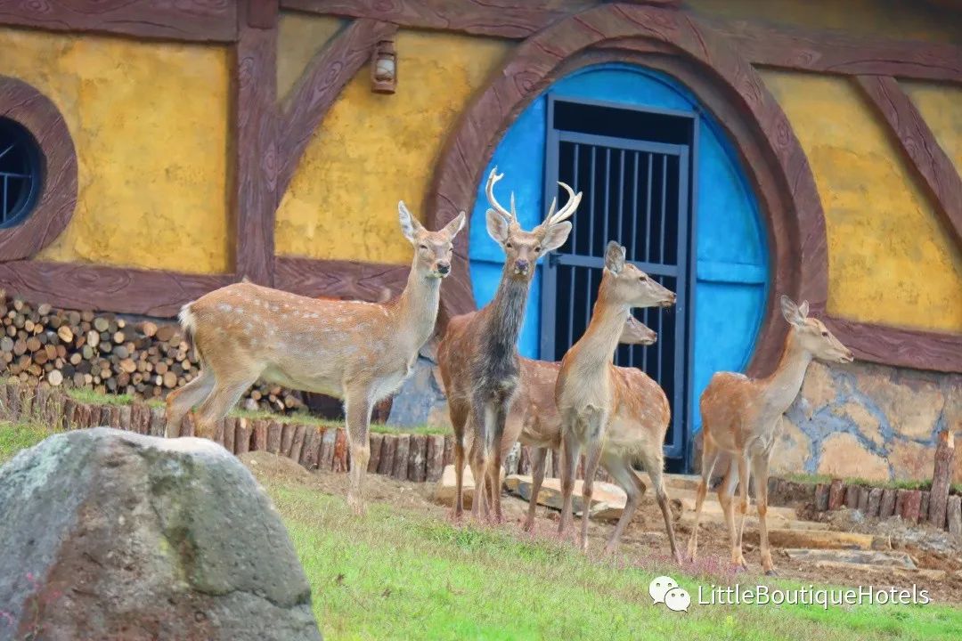 仰天湖大草原丨中国郴州丨广州市五合国际建筑设计有限公司（WHi）-36