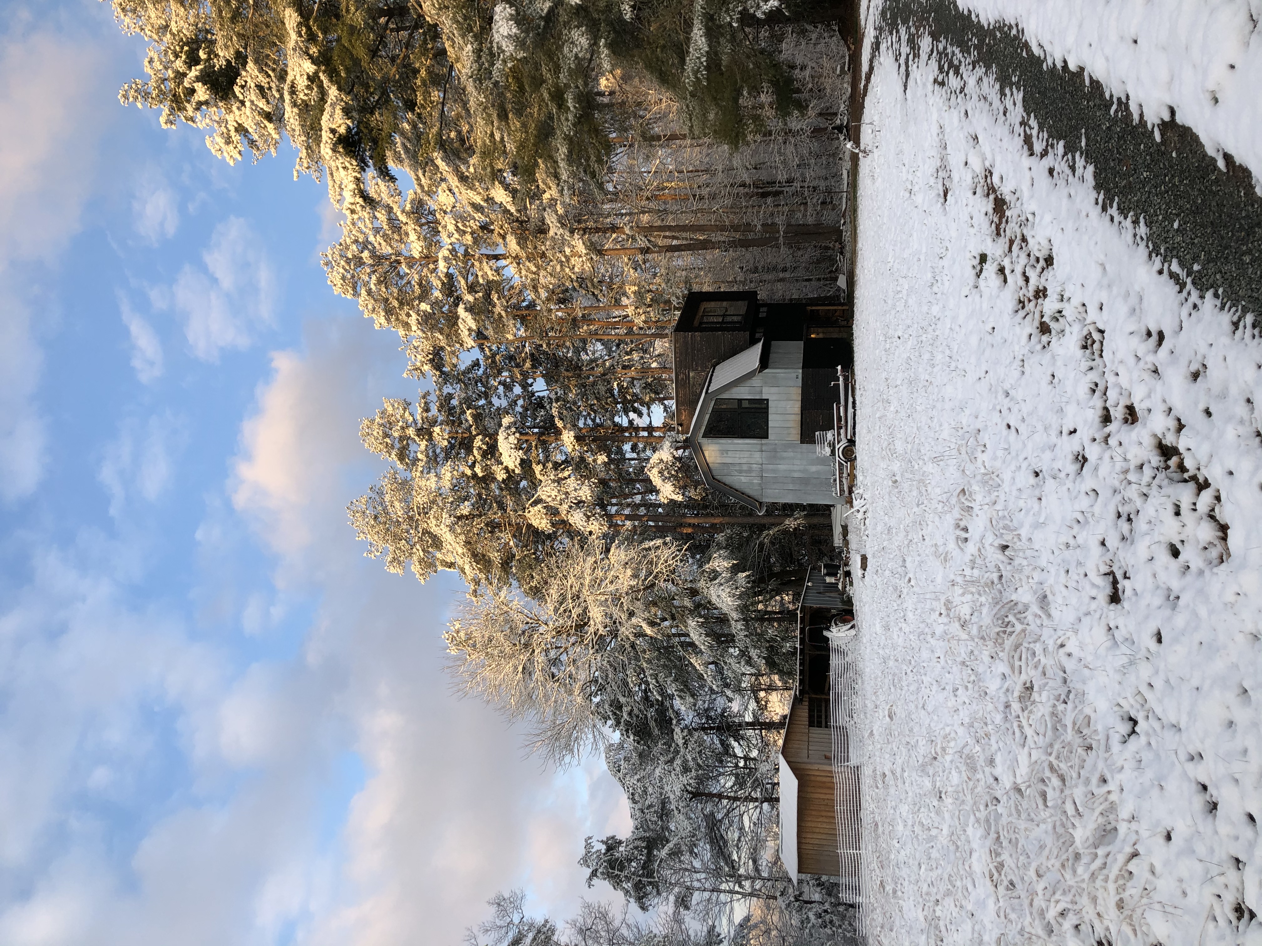 Resonant Dwelling | Schemata Studio-7